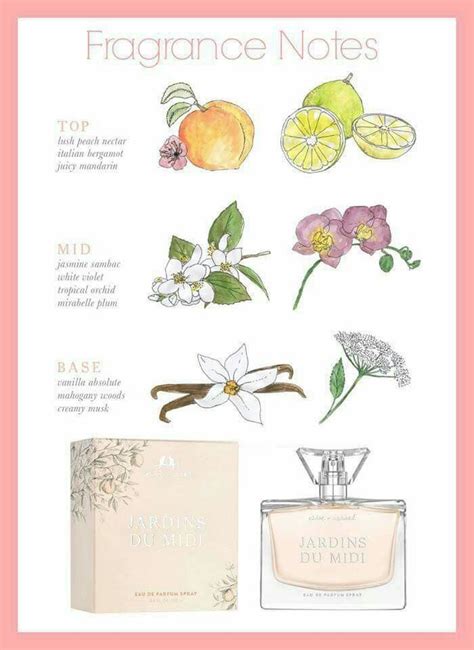 chloe fragrance notes